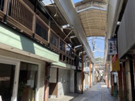 有償ボランティアを募集しています